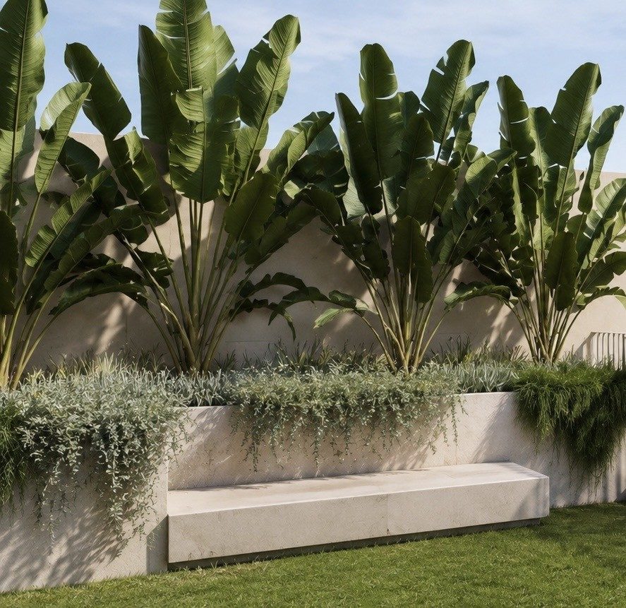 Strelitzia above a rendered planter with built-in bench seat